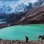 128209a16266b4341a287a9c7ec7779c