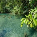 1c1c7a1d8cb2d8decf5450c49a68a057