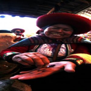 3cc7072f34c41f8f5e5cd9bb7987fb80