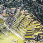 687c6e214f1ab777752528555d9b737b