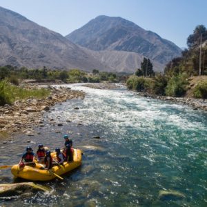 86b110f356d2d7d9f809b720175adf08