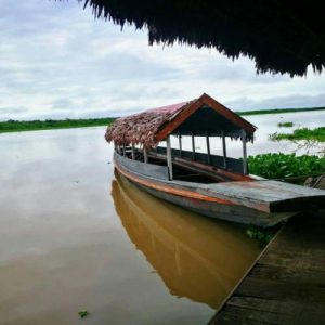 cc62fb5c82abf46afe0158ea91007193