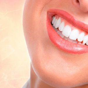 8be61a79ebec18beddebade5ddcbd053