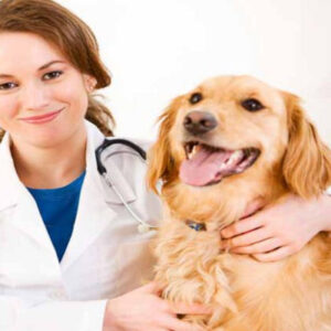 ¡Pack! Consulta + Hemograma + Desparasitación