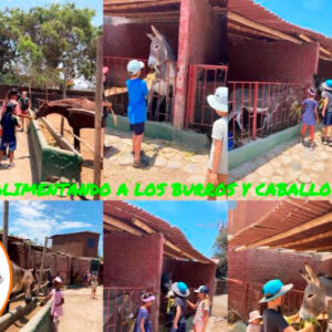 !Pack Full Day de Actividades: Entrada 1 niño + 1 adulto, y más en Granja Interactiva El Arriero!