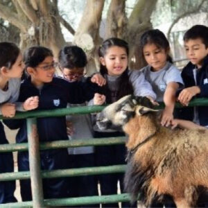 ¡Tour El Arriero: Entrada 1 niño + 1 adulto, alimenta las aves, conejos, disfruta de taller de huerto, reciclaje y mucho más en la Granja Interactiva El Arriero!